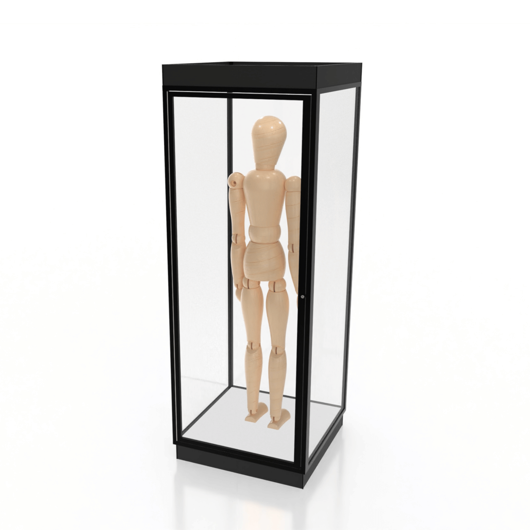 Mannequin Display Case