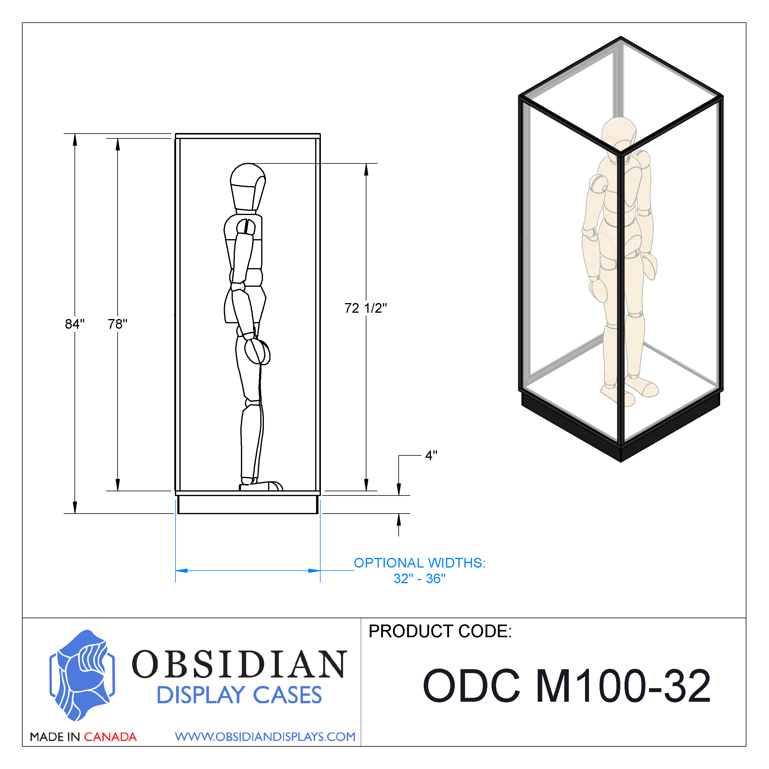 Mannequin Display Case
