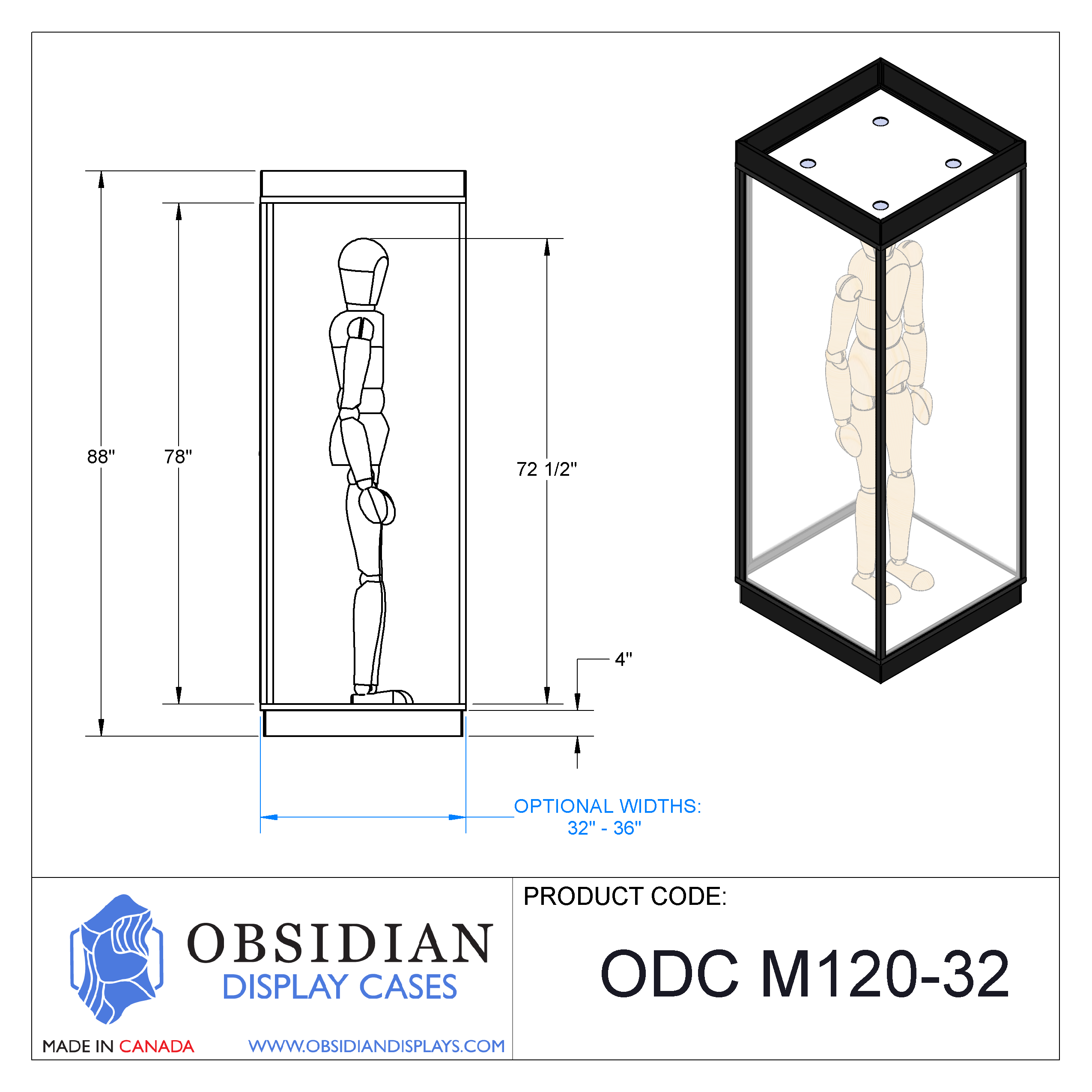 Mannequin Display Case