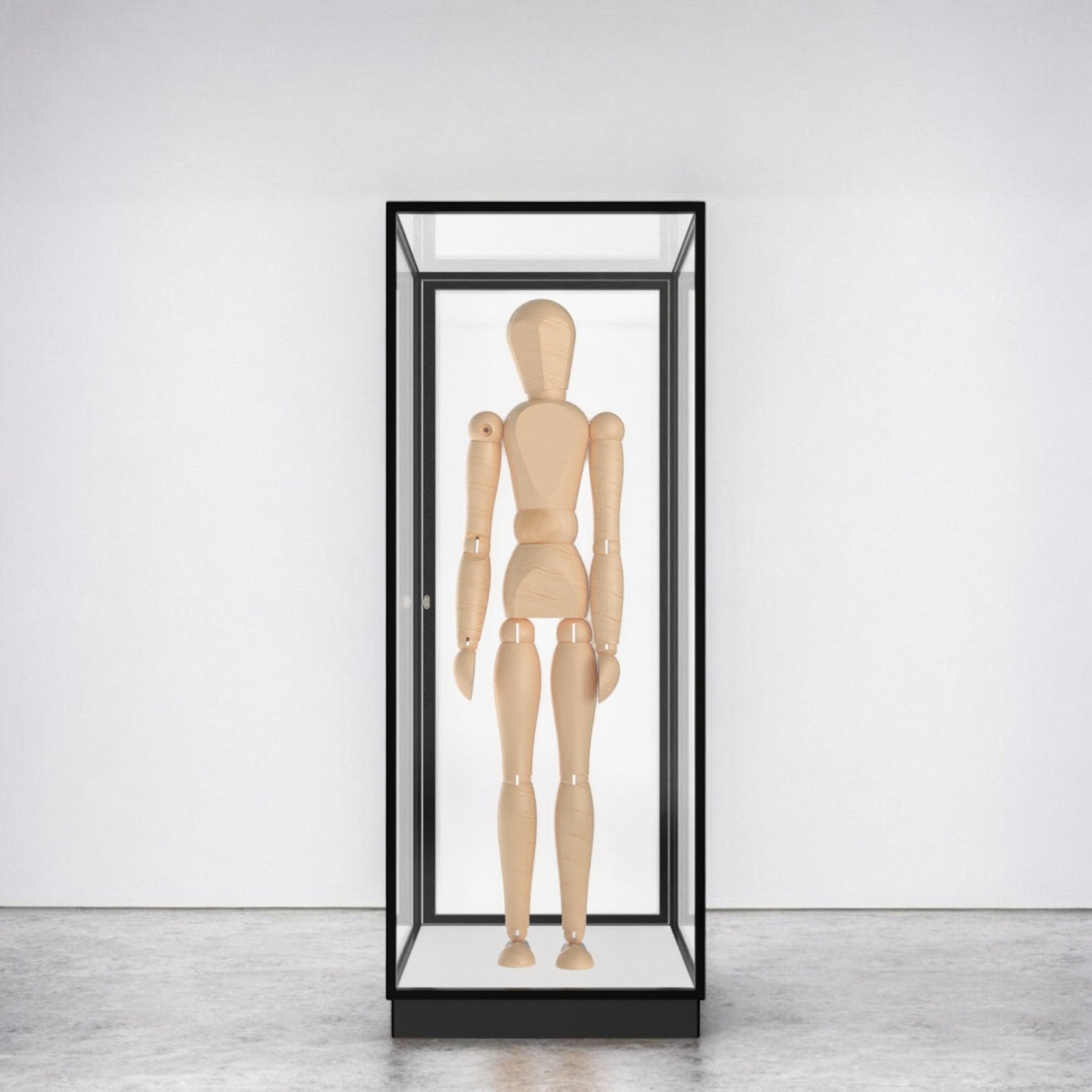 Mannequin Display Case