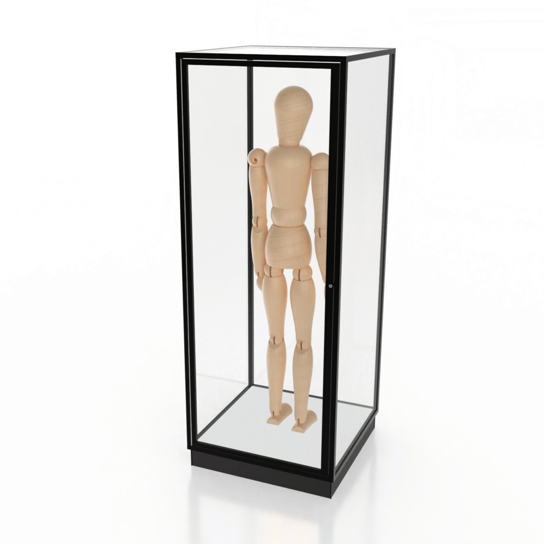 Mannequin Display Case
