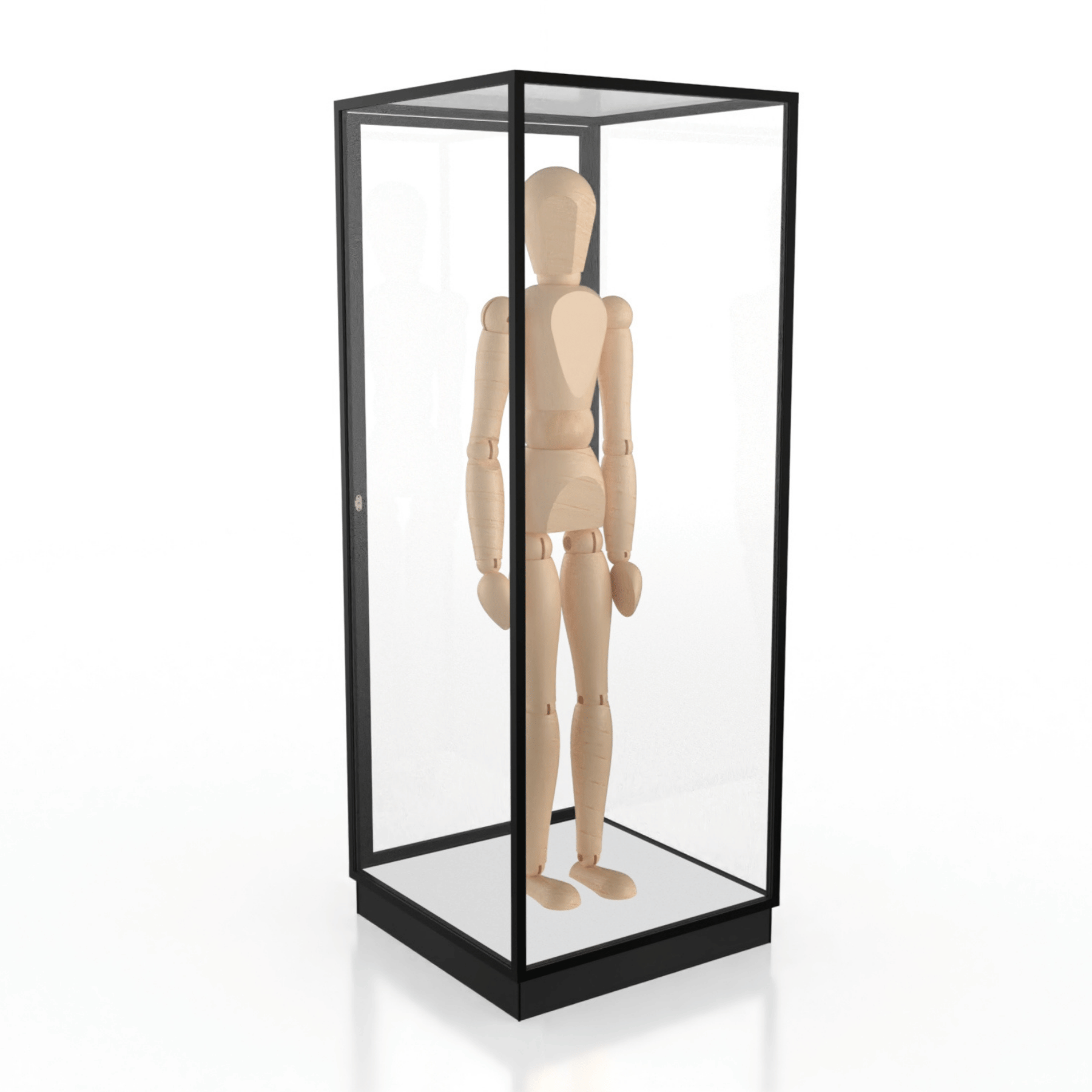 Mannequin Display Case